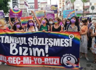 İSTANBUL SÖZLEŞMESİ YÜRÜRLÜĞE DAİR REHBER VE TÜRKİYE UYGULAMASI